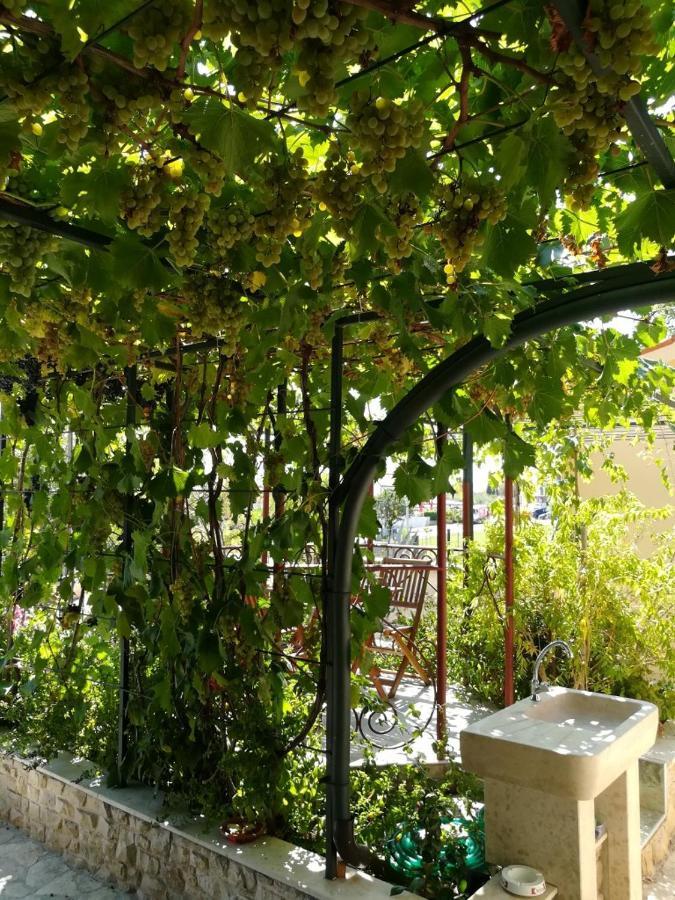 Summer Time Apartment
