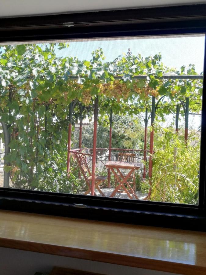 Summer Time Apartment Premantura