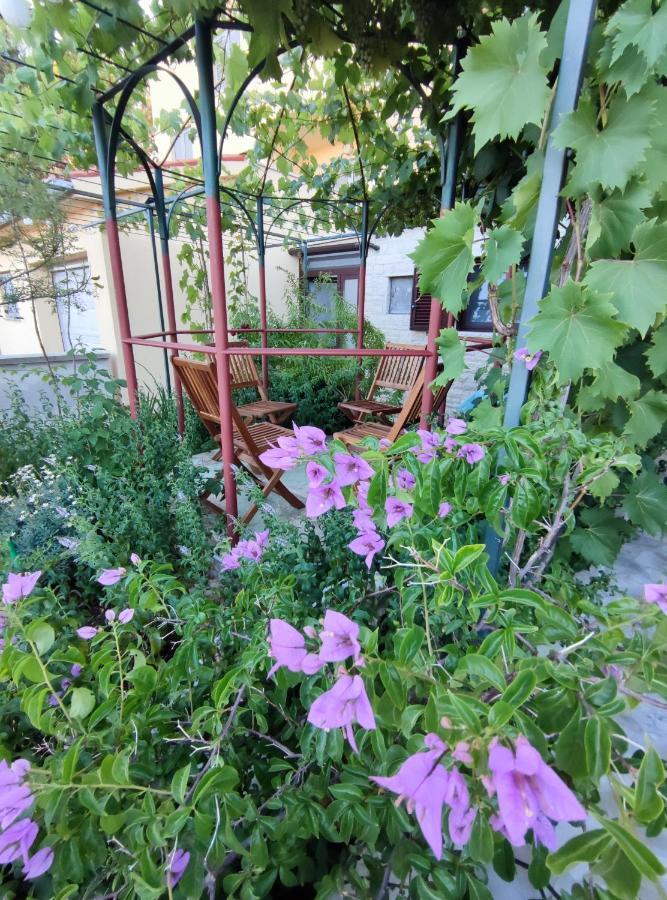 Summer Time Apartment